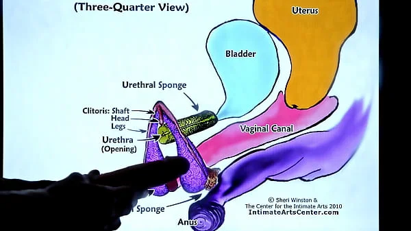 SQUIRTING TUTORIAL #2 - How to Make Girl SQUIRT?