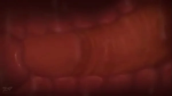 Pokemon porn