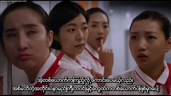 A Delicious Flight (2015) (Myanmar subtitile)