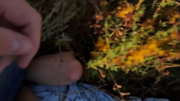 Tied to a tree and whipped